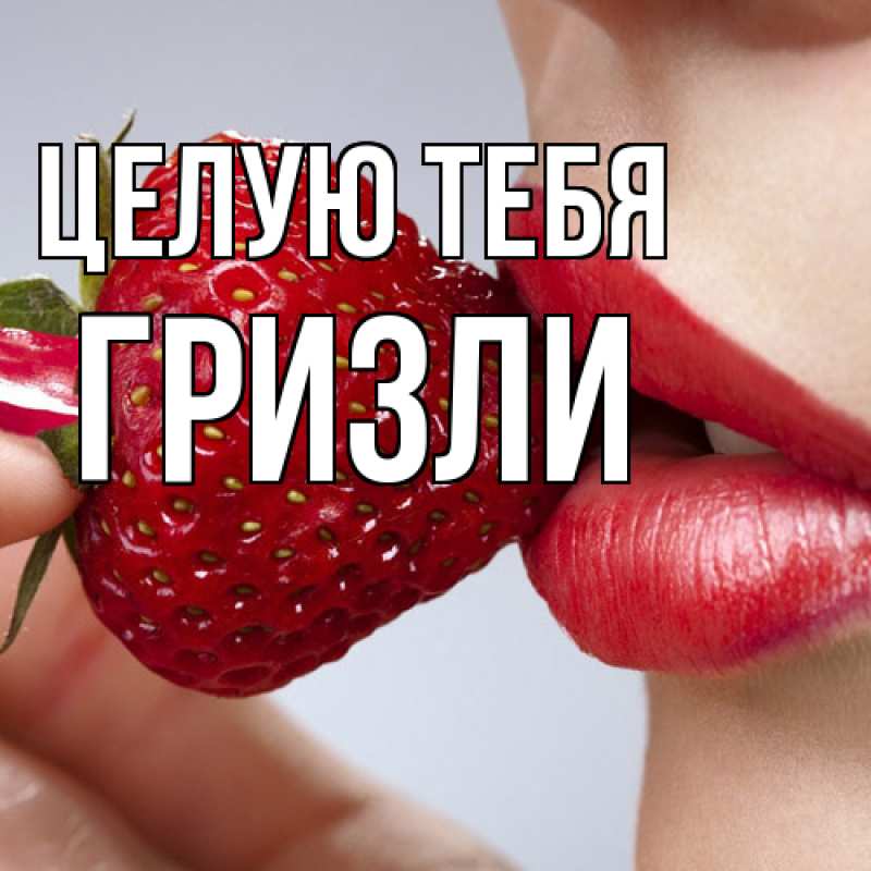 Картинка Целую тебя, Гризли