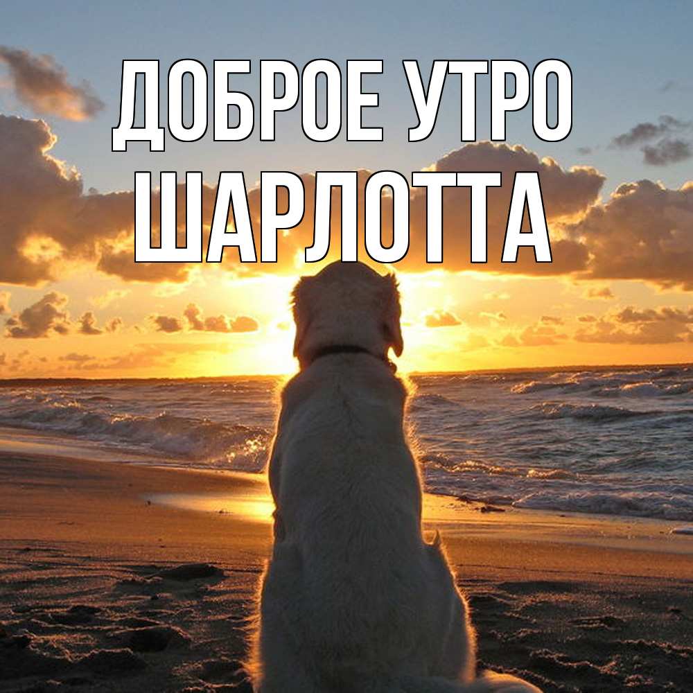 Открытка на каждый день с именем, Шарлотта Доброе утро восход солнца Прикольная открытка с пожеланием онлайн скачать бесплатно 