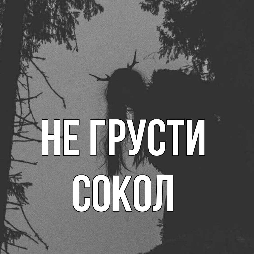 Открытка на каждый день с именем, Сокол Не грусти чудище лесное Прикольная открытка с пожеланием онлайн скачать бесплатно 