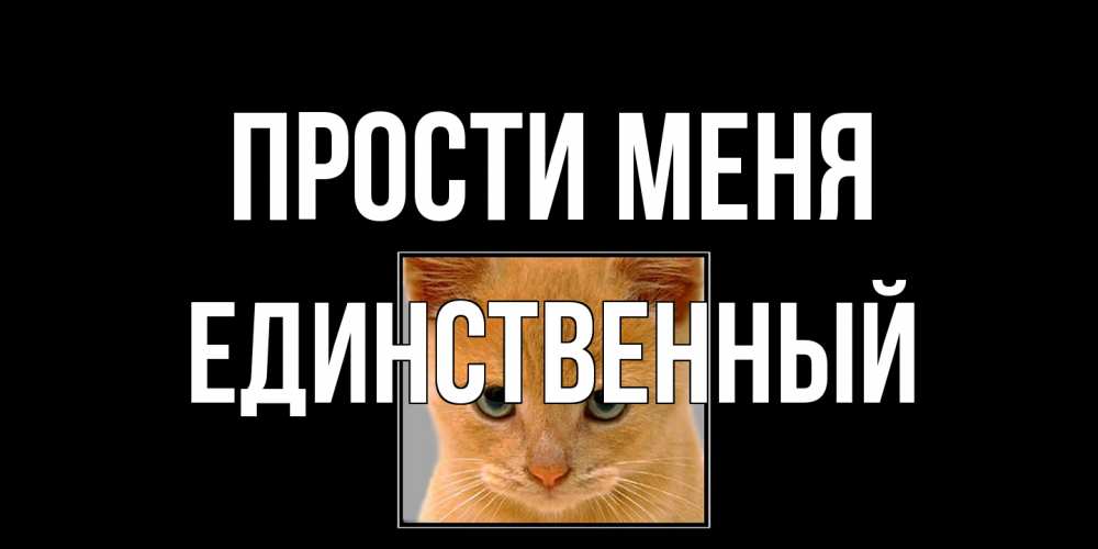 Открытка на каждый день с именем, Единственный Прости меня рыжий грустный кот просит прощения Прикольная открытка с пожеланием онлайн скачать бесплатно 
