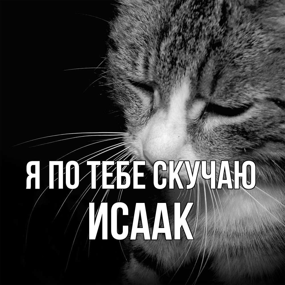 Открытка на каждый день с именем, Исаак Я по тебе скучаю мне скучно Прикольная открытка с пожеланием онлайн скачать бесплатно 