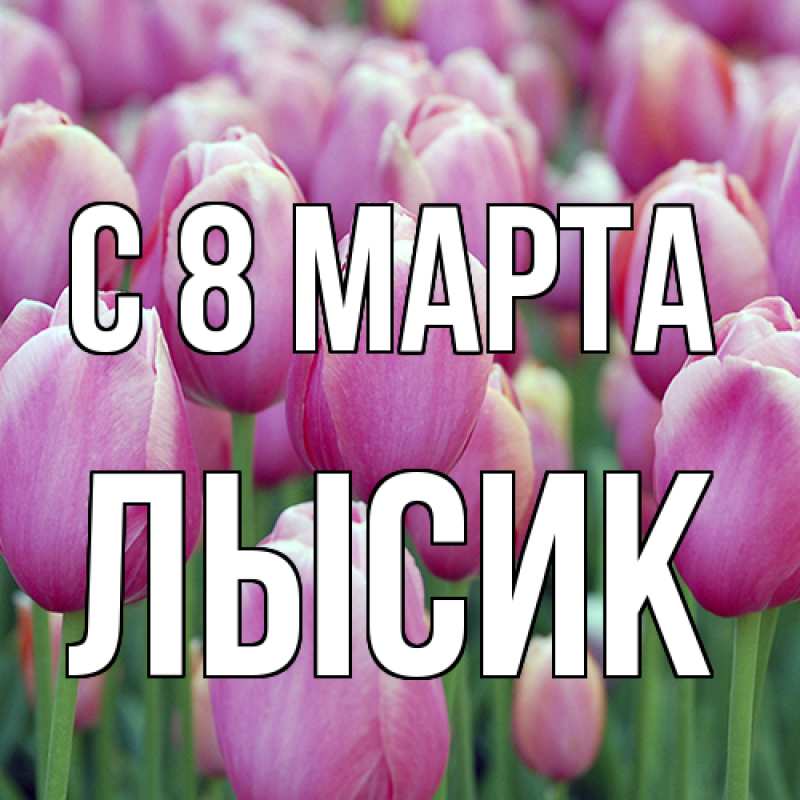 Картинка C 8 МАРТА, Лысик