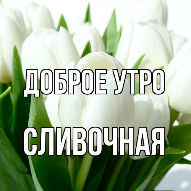 Картинка Доброе утро, Сливочная