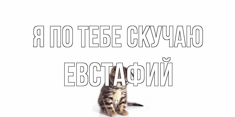 Открытка на каждый день с именем, Евстафий Я по тебе скучаю кот Прикольная открытка с пожеланием онлайн скачать бесплатно 