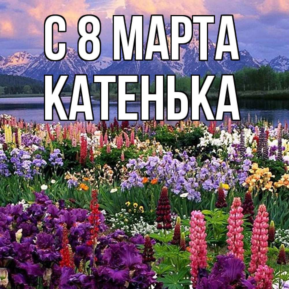 Открытка на каждый день с именем, Катенька C 8 МАРТА международный женский день Прикольная открытка с пожеланием онлайн скачать бесплатно 