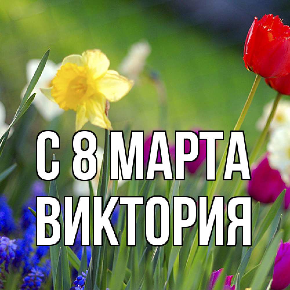 Открытка на каждый день с именем, Виктория C 8 МАРТА международный женский день 3 Прикольная открытка с пожеланием онлайн скачать бесплатно 