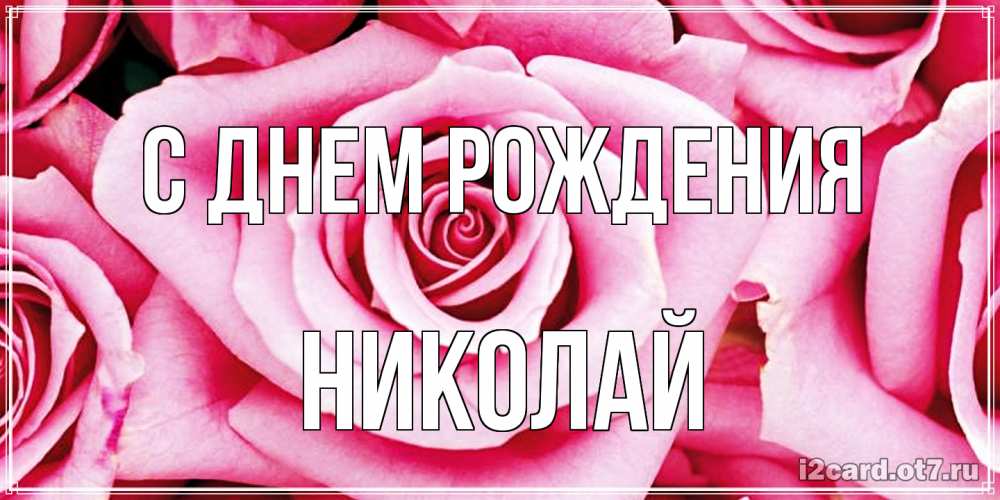 Открытка на каждый день с именем, Николай С днем рождения открытка с розовой розой на день рождения Прикольная открытка с пожеланием онлайн скачать бесплатно 
