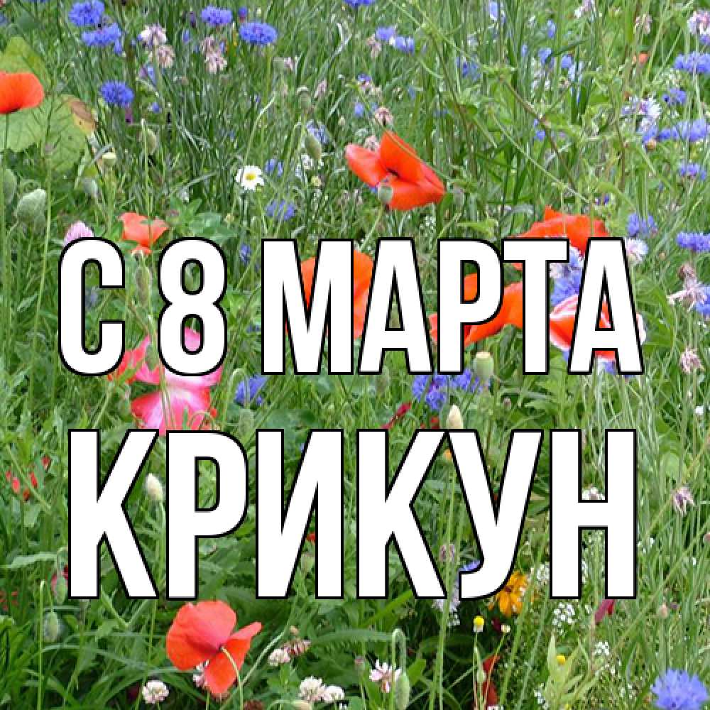 Открытка на каждый день с именем, Крикун C 8 МАРТА международный женский день 4 Прикольная открытка с пожеланием онлайн скачать бесплатно 