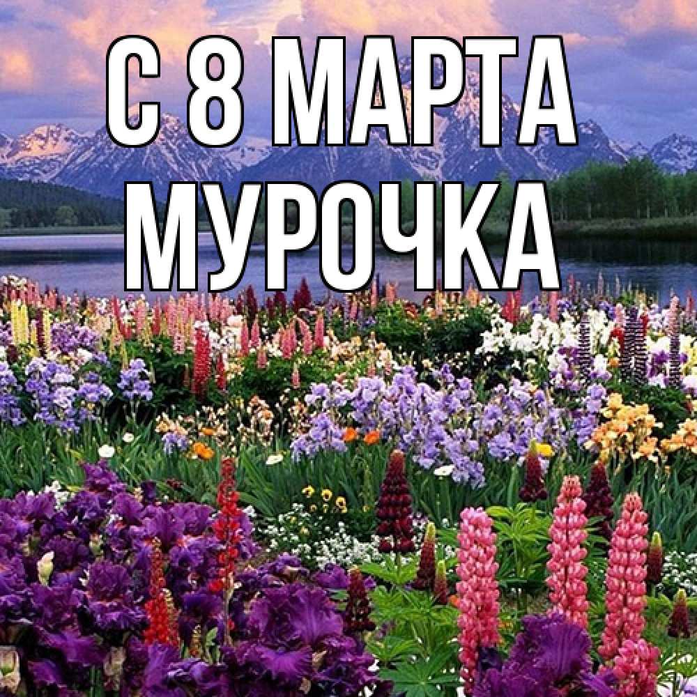 Открытка на каждый день с именем, Мурочка C 8 МАРТА международный женский день Прикольная открытка с пожеланием онлайн скачать бесплатно 