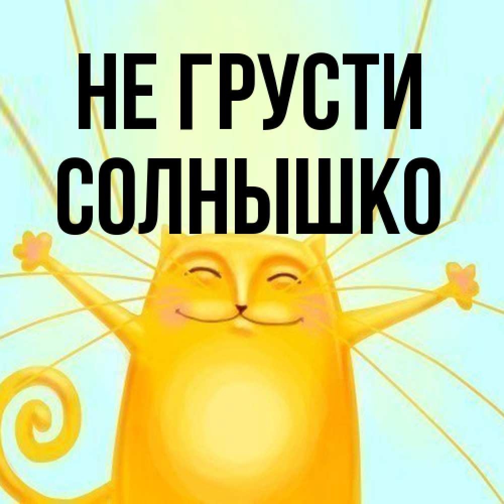 Открытка на каждый день с именем, Солнышко Не грусти обнимашки усатые Прикольная открытка с пожеланием онлайн скачать бесплатно 