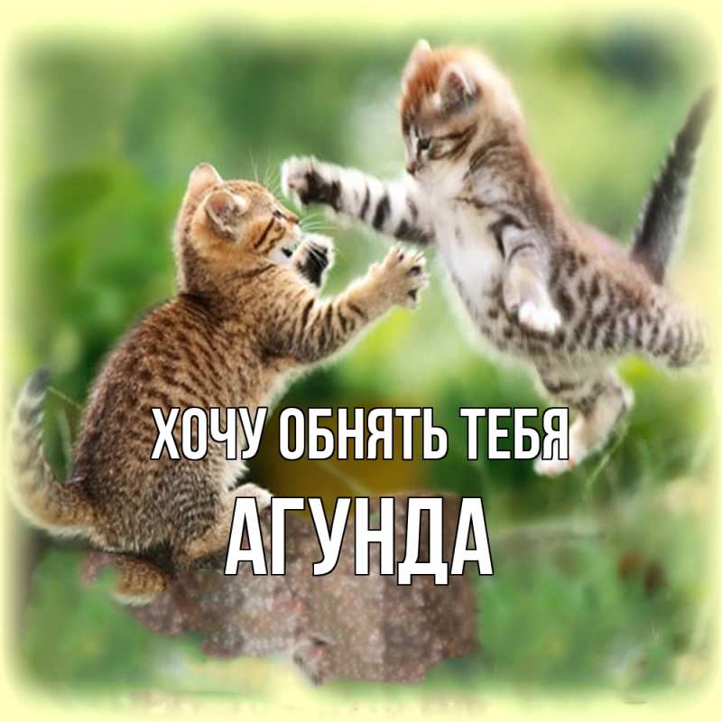 Картинка Хочу обнять тебя, Агунда