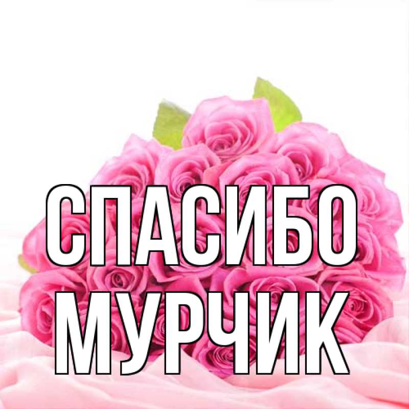 Открытка с именем, Мурчик, Спасибо