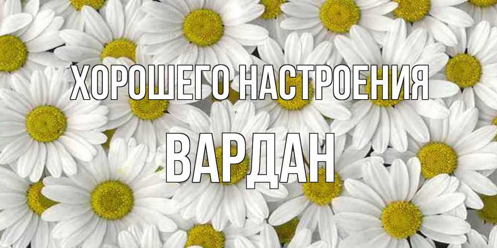 Открытка на каждый день с именем, Вардан Хорошего настроения поляна ромашек Прикольная открытка с пожеланием онлайн скачать бесплатно 