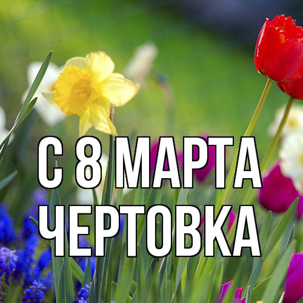 Открытка на каждый день с именем, Чертовка C 8 МАРТА международный женский день 3 Прикольная открытка с пожеланием онлайн скачать бесплатно 