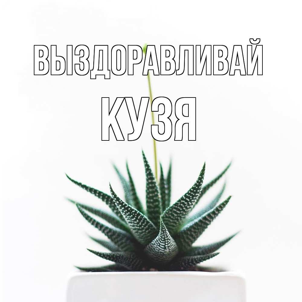 Открытка на каждый день с именем, Кузя Выздоравливай короче это непонятная колючка Прикольная открытка с пожеланием онлайн скачать бесплатно 
