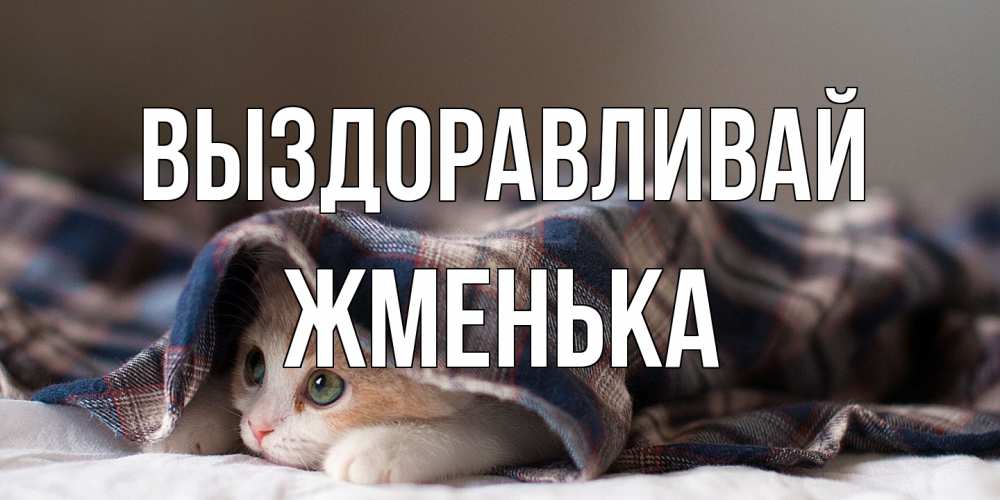 Открытка на каждый день с именем, Жменька Выздоравливай не болейте с котиком Прикольная открытка с пожеланием онлайн скачать бесплатно 