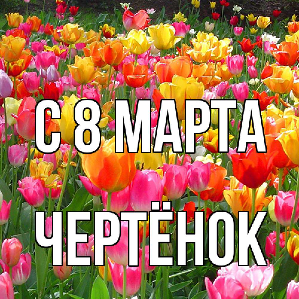 Открытка на каждый день с именем, Чертёнок C 8 МАРТА на международный женский день Прикольная открытка с пожеланием онлайн скачать бесплатно 