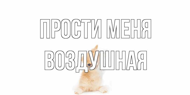 Открытка с именем, воздушная, Прости меня