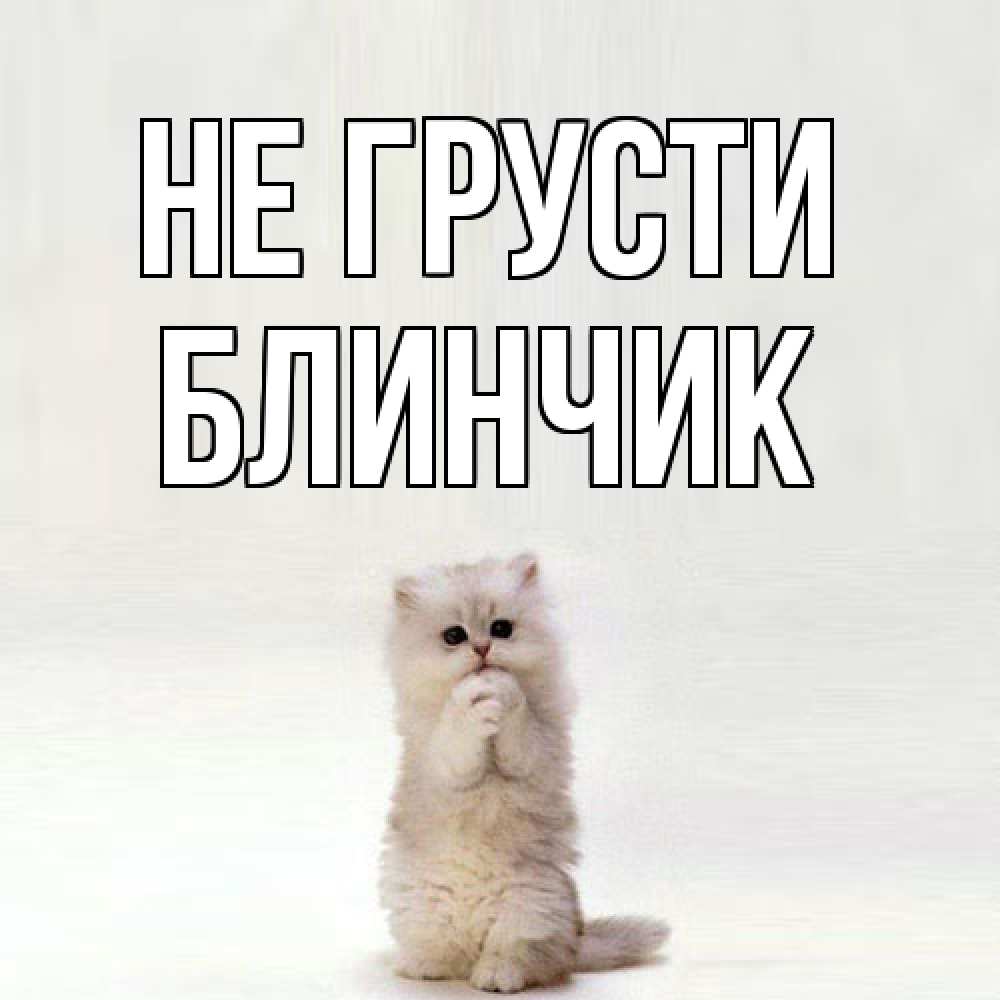 Открытка на каждый день с именем, Блинчик Не грусти грустный кот Прикольная открытка с пожеланием онлайн скачать бесплатно 