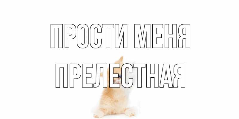 Открытка с именем, Прелестная, Прости меня