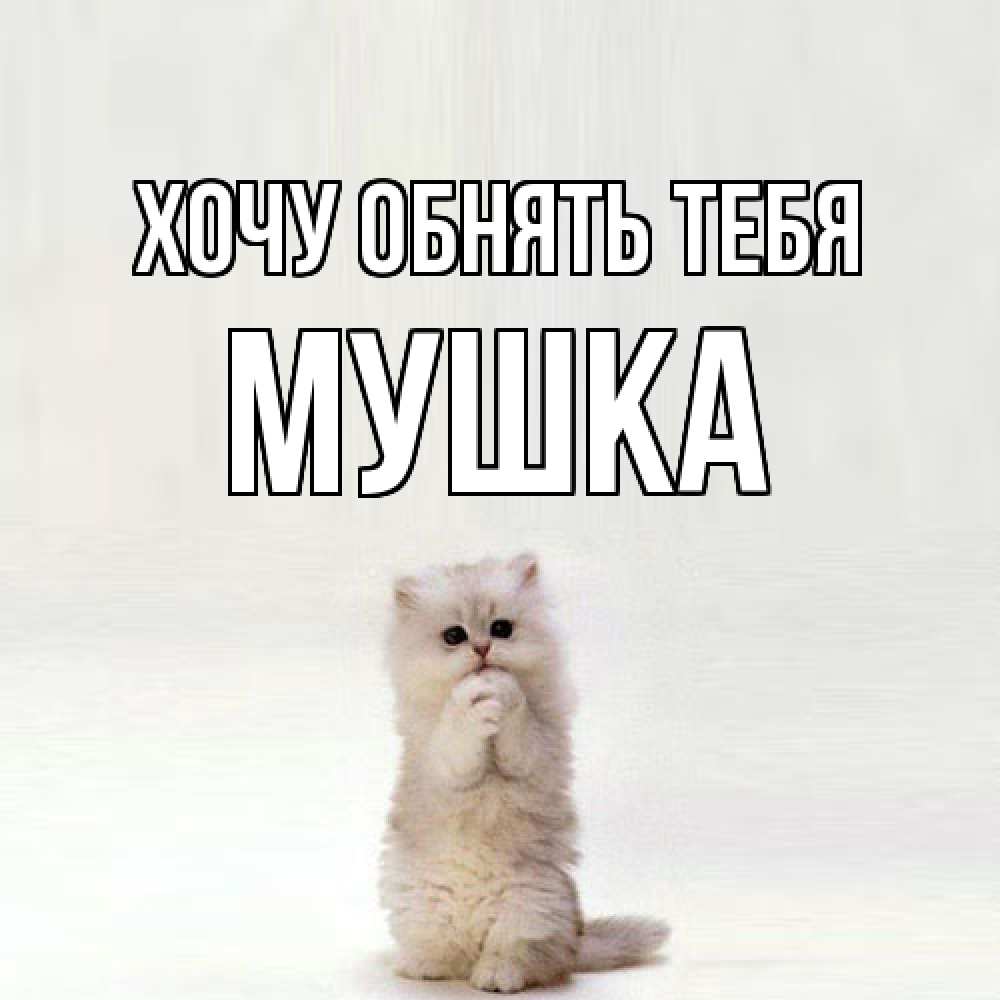 Открытка на каждый день с именем, мушка Хочу обнять тебя открытки с креативными подписями Прикольная открытка с пожеланием онлайн скачать бесплатно 