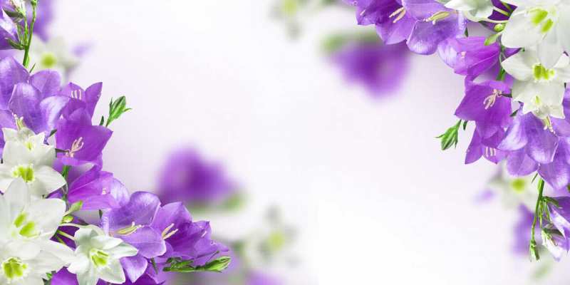 Картинка С днем рождения, Вера