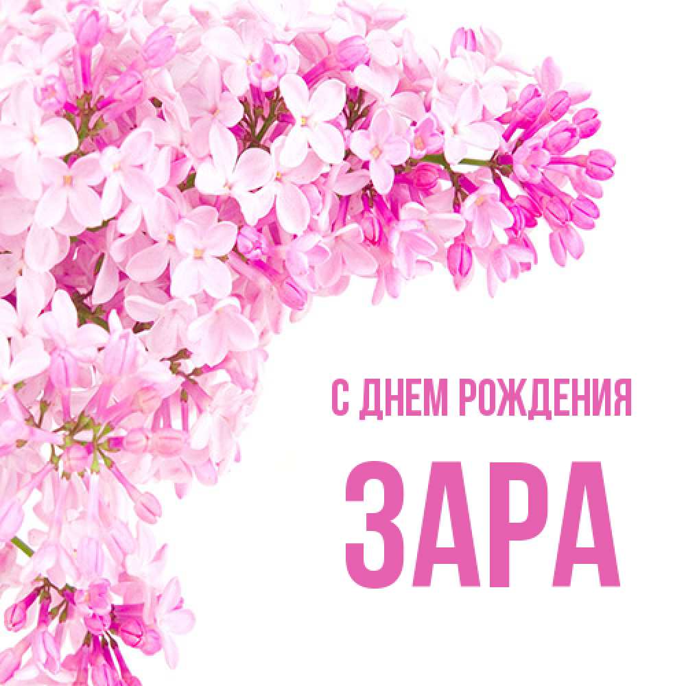 Открытка на каждый день с именем, Зара С днем рождения Сирень на белом фоне Прикольная открытка с пожеланием онлайн скачать бесплатно 