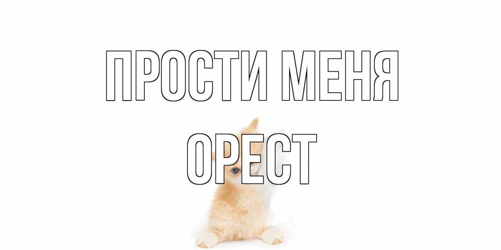 Открытка на каждый день с именем, Орест Прости меня кот Прикольная открытка с пожеланием онлайн скачать бесплатно 
