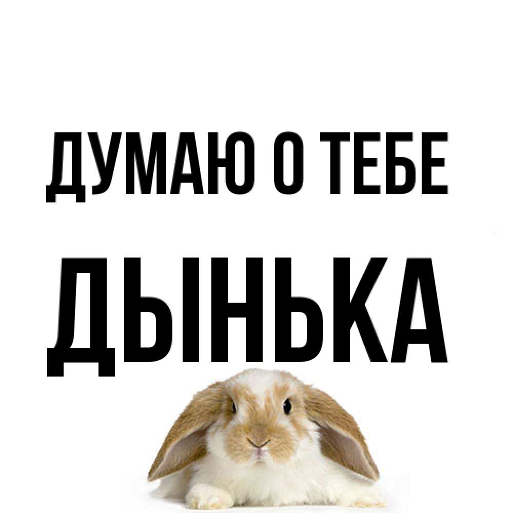 Открытка на каждый день с именем, Дынька Думаю о тебе подписать своими руками онлайн Прикольная открытка с пожеланием онлайн скачать бесплатно 