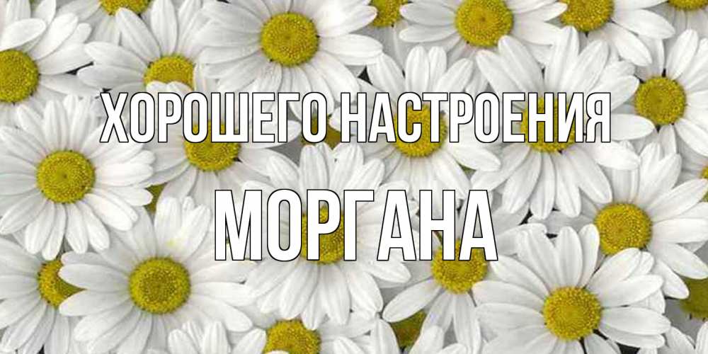 Открытка на каждый день с именем, Моргана Хорошего настроения поляна ромашек Прикольная открытка с пожеланием онлайн скачать бесплатно 