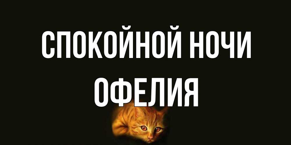 Открытка на каждый день с именем, Офелия Спокойной ночи кот Прикольная открытка с пожеланием онлайн скачать бесплатно 