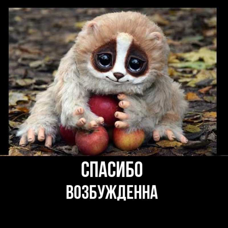 Картинка Спасибо, Возбужденна