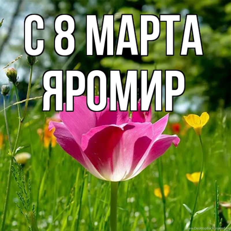 Картинка C 8 МАРТА, Яромир