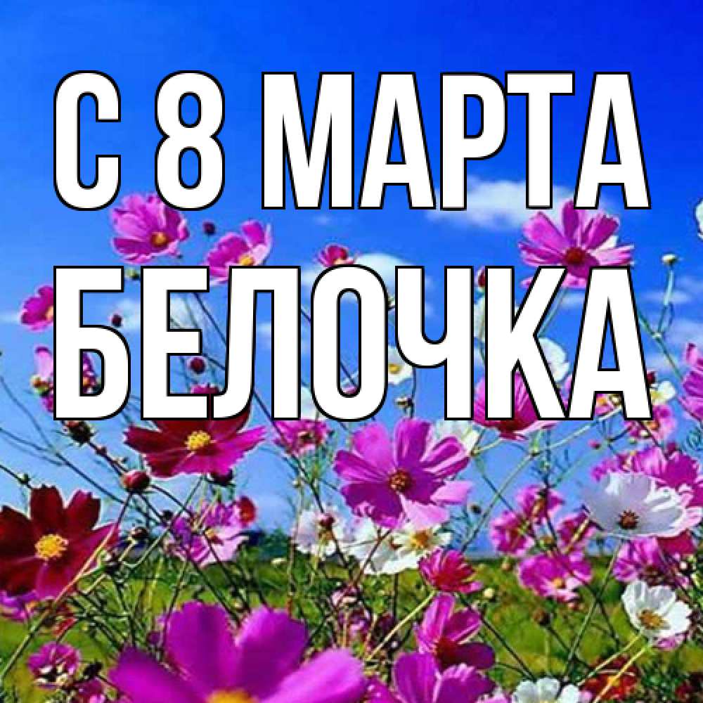 Открытка на каждый день с именем, Белочка C 8 МАРТА цветы Прикольная открытка с пожеланием онлайн скачать бесплатно 
