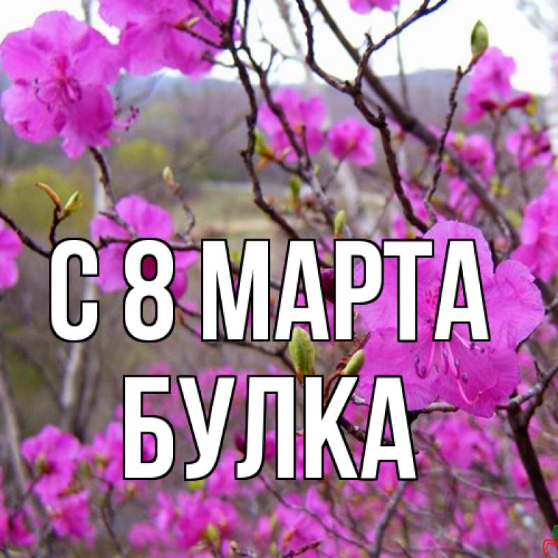 Открытка с именем, Булка, C 8 МАРТА