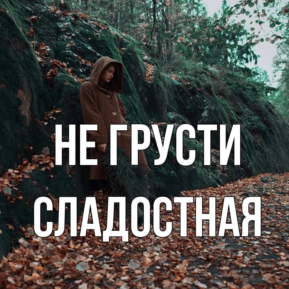 Открытка на каждый день с именем, Сладостная Не грусти осенний лес Прикольная открытка с пожеланием онлайн скачать бесплатно 