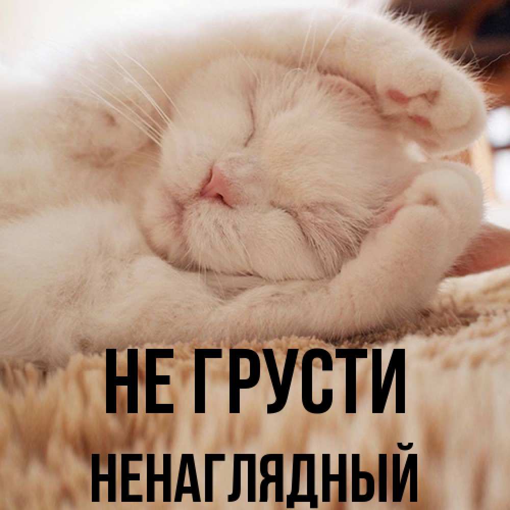 Открытка на каждый день с именем, Ненаглядный Не грусти Котенок спит Прикольная открытка с пожеланием онлайн скачать бесплатно 