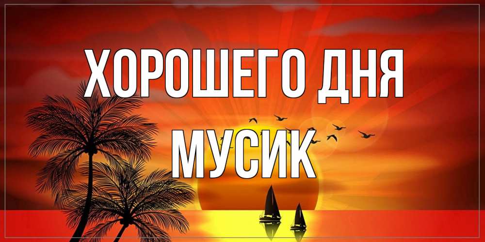 Открытка на каждый день с именем, мусик Хорошего дня открытки с пожеланиями хорошего дня Прикольная открытка с пожеланием онлайн скачать бесплатно 