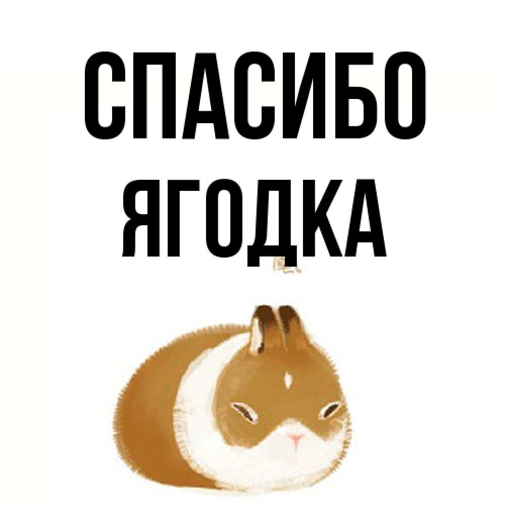 Открытка на каждый день с именем, ягодка Спасибо коричнево белый домашний питомец Прикольная открытка с пожеланием онлайн скачать бесплатно 