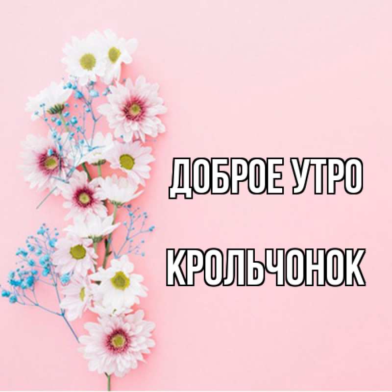 Картинка Доброе утро, Крольчонок