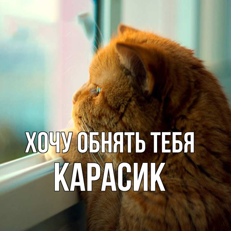 Открытка с именем, карасик, Хочу обнять тебя