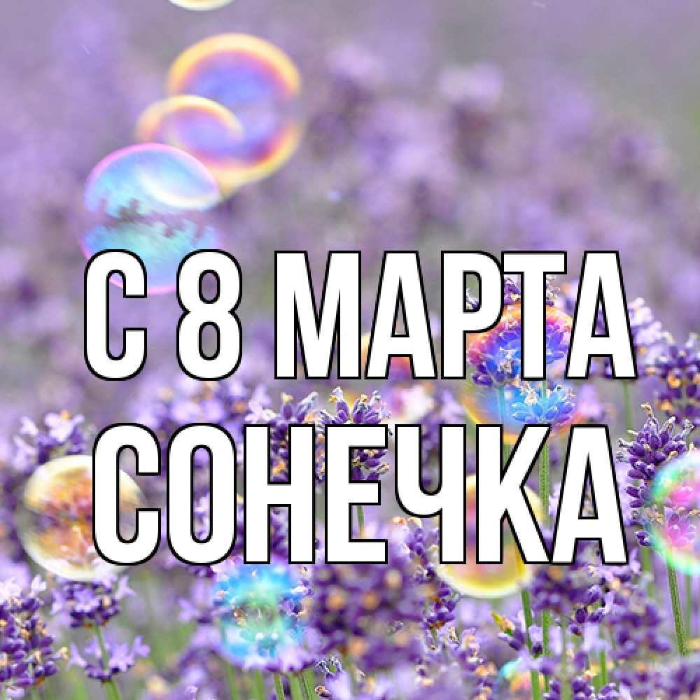 Открытка на каждый день с именем, Сонечка C 8 МАРТА цветы Прикольная открытка с пожеланием онлайн скачать бесплатно 