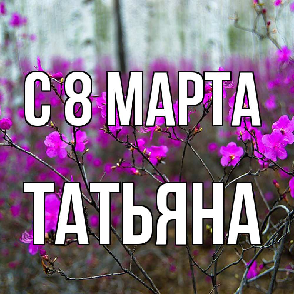 Открытка на каждый день с именем, Татьяна C 8 МАРТА дикие цветы Прикольная открытка с пожеланием онлайн скачать бесплатно 