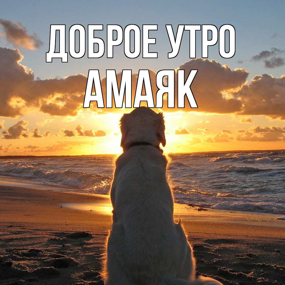 Открытка на каждый день с именем, Амаяк Доброе утро восход солнца Прикольная открытка с пожеланием онлайн скачать бесплатно 