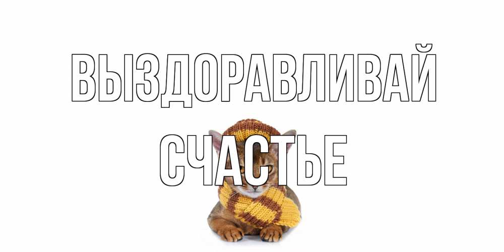 Открытка на каждый день с именем, счастье Выздоравливай родные не болейте Прикольная открытка с пожеланием онлайн скачать бесплатно 