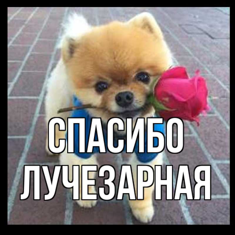 Открытка с именем, лучезарная, Спасибо
