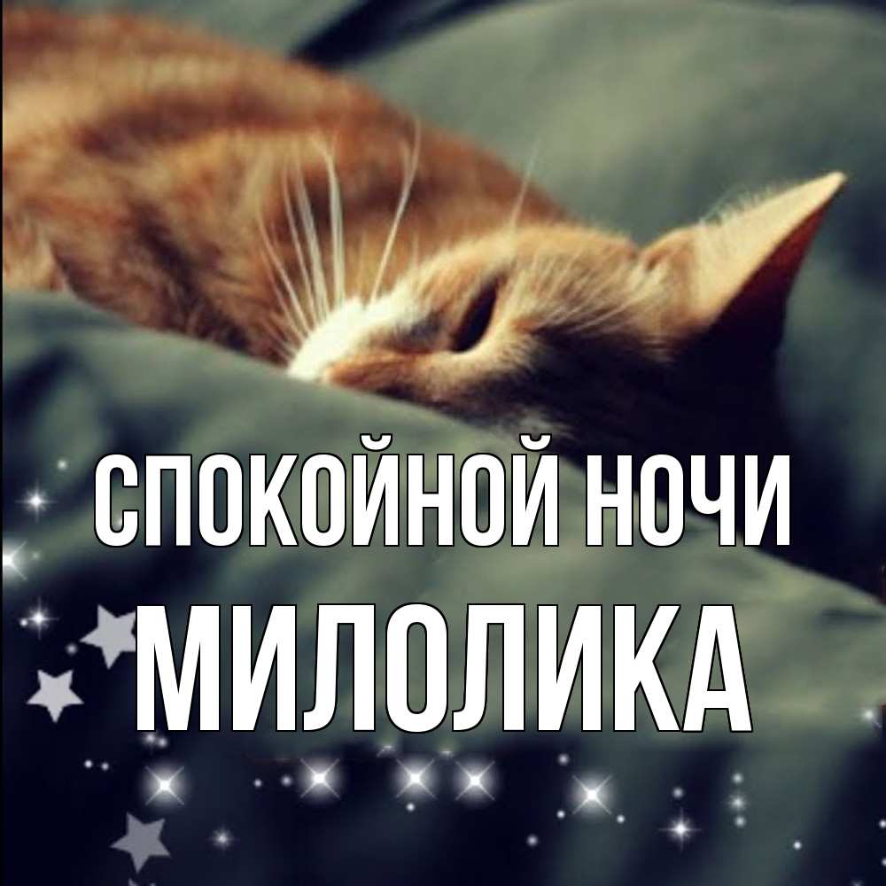 Открытка на каждый день с именем, Милолика Спокойной ночи кроватка Прикольная открытка с пожеланием онлайн скачать бесплатно 