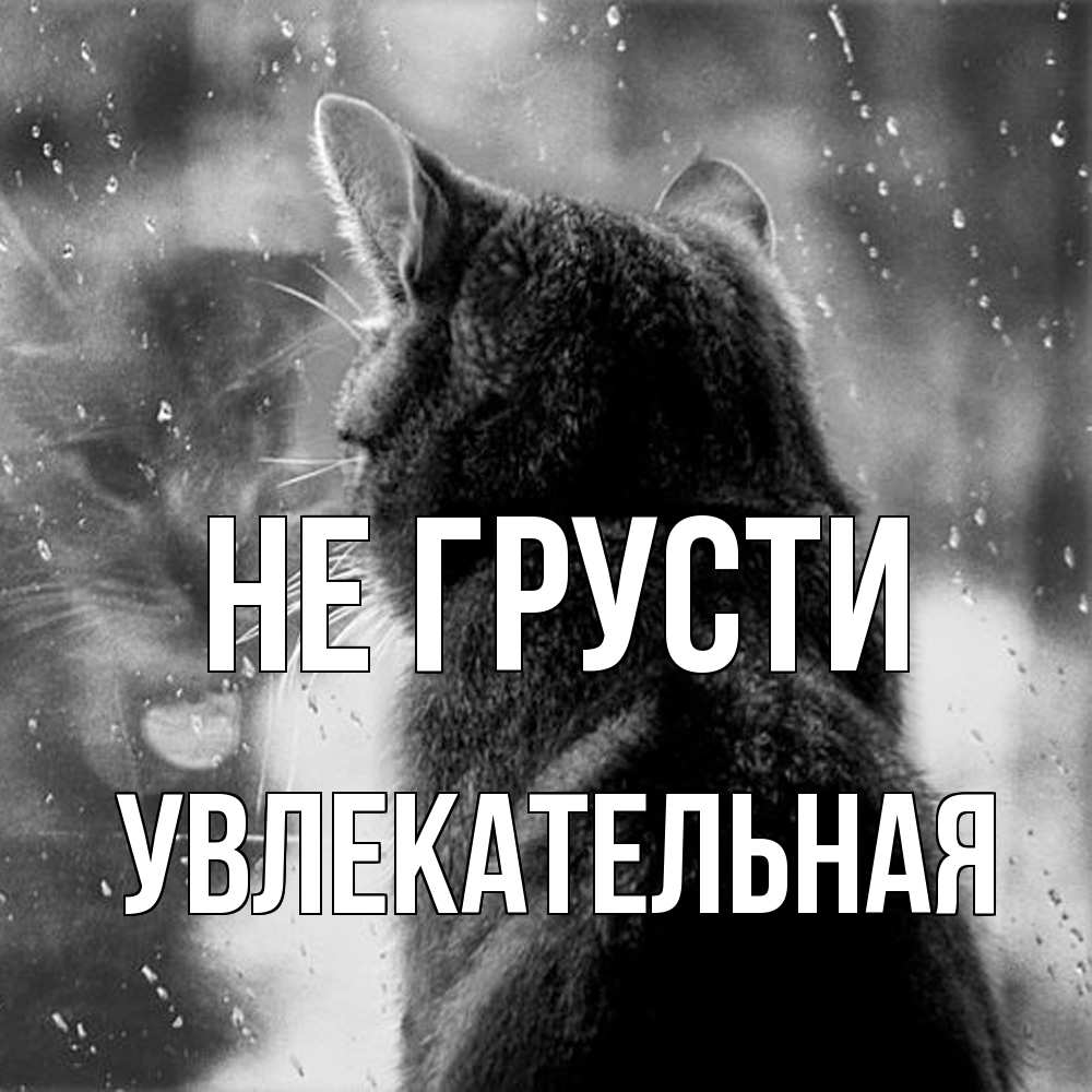 Открытка на каждый день с именем, Увлекательная Не грусти отражение кота 1 Прикольная открытка с пожеланием онлайн скачать бесплатно 