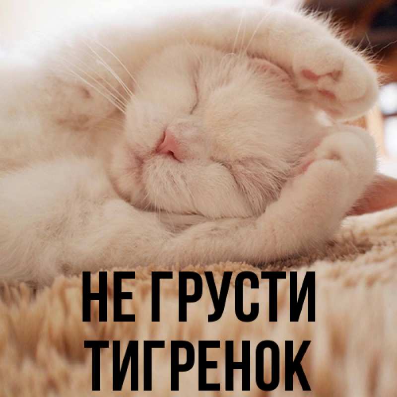 Картинка Не грусти, Тигpенок