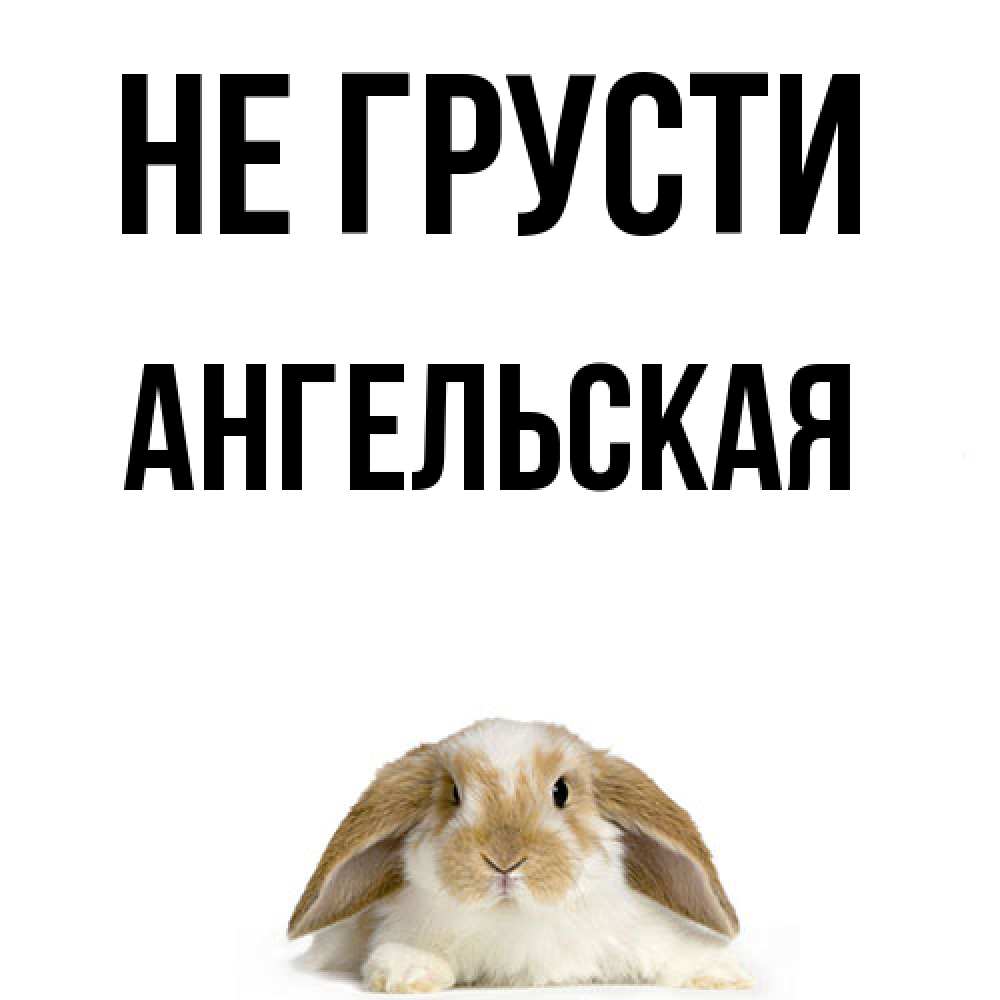 Открытка на каждый день с именем, Ангельская Не грусти коричнево белый заяц с большими ушками Прикольная открытка с пожеланием онлайн скачать бесплатно 